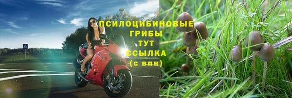 каннабис Богородск