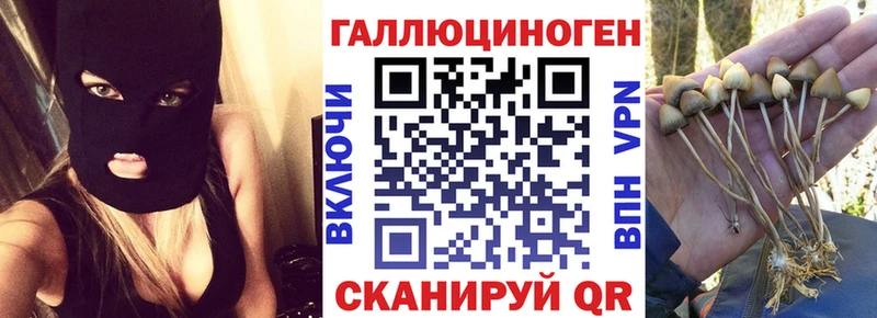 сайты даркнета формула  хочу   Бузулук  Псилоцибиновые грибы мицелий 
